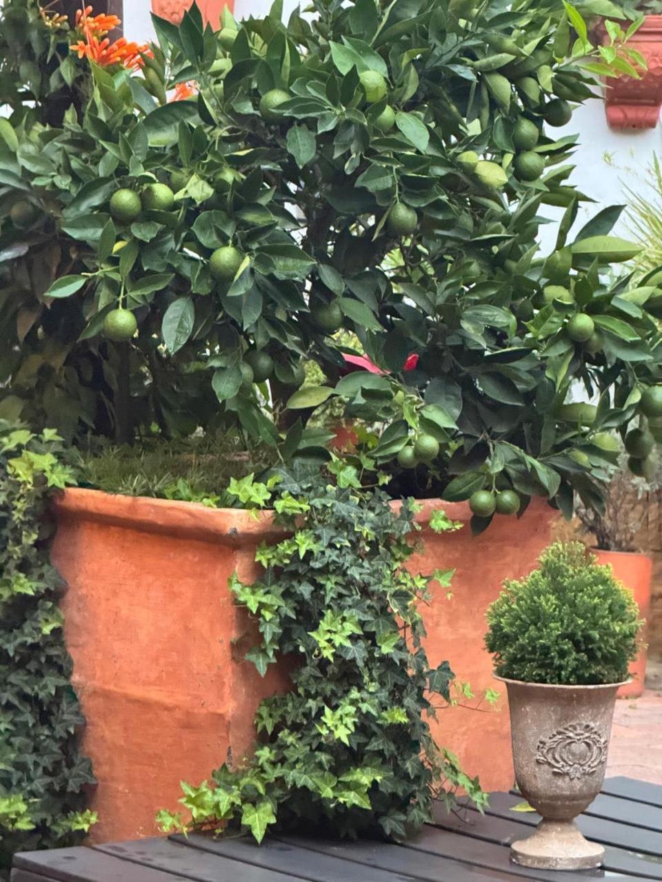 Santa Lucia Casa Hotel Villa de Leyva Ngoại thất bức ảnh